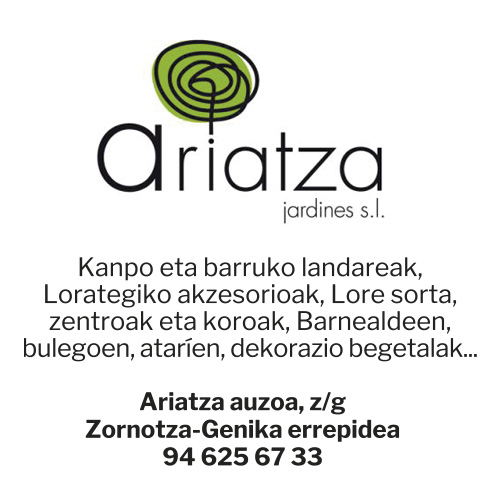 Ariatza
