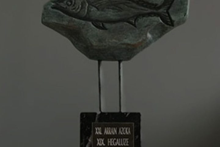 Hegaluze saria