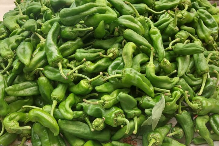 Piperrak Gernika