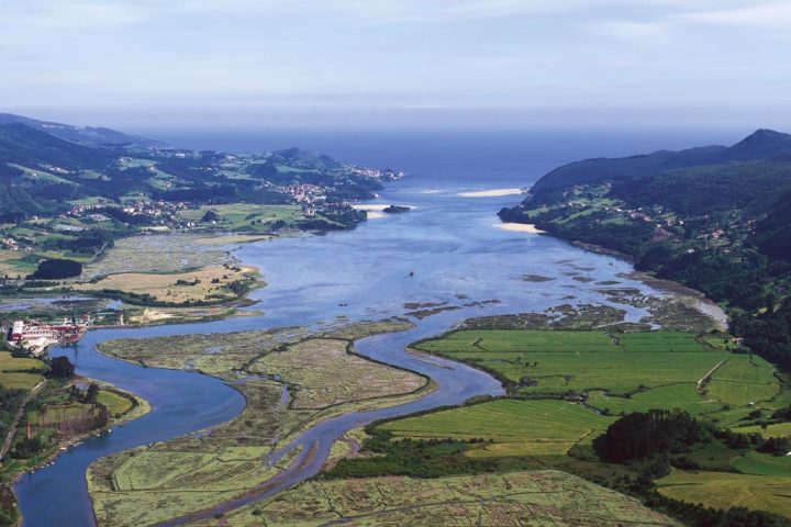 Urdaibai2