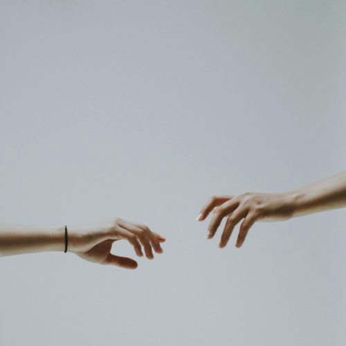 komunikazioa-ez-bortitza